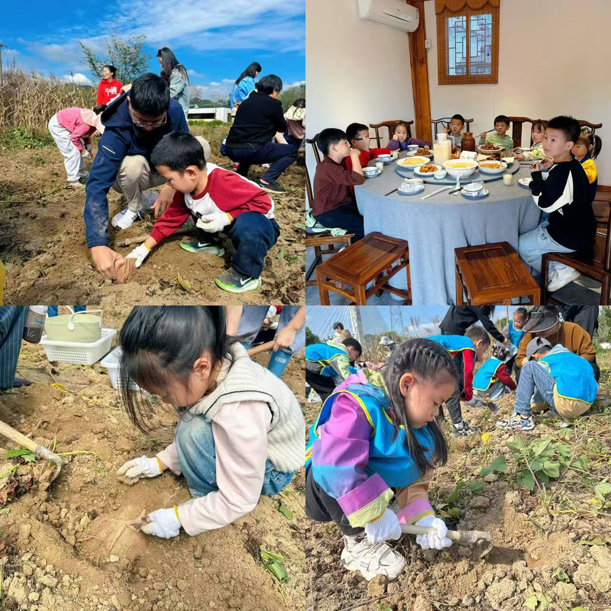 南溪南村：以薯為媒繪新景，活動(dòng)賦能興鄉(xiāng)村